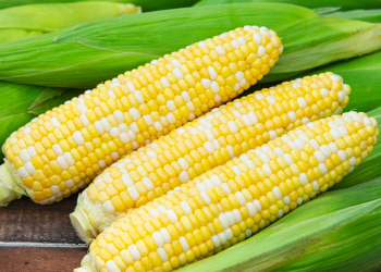 Corn