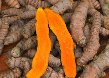 Turmeric