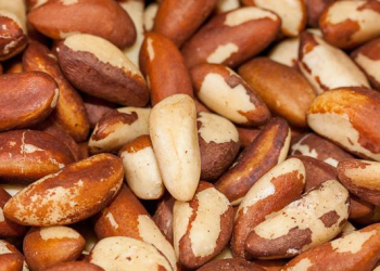 Brazil Nuts