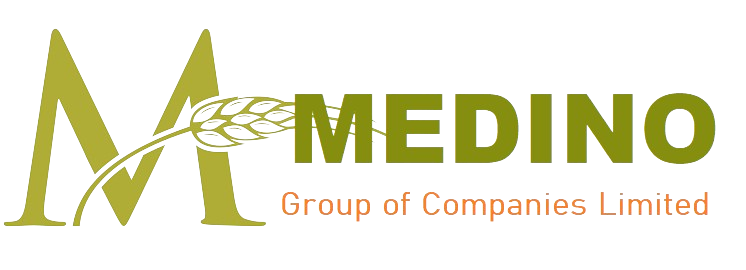 MEDINO CO LTD